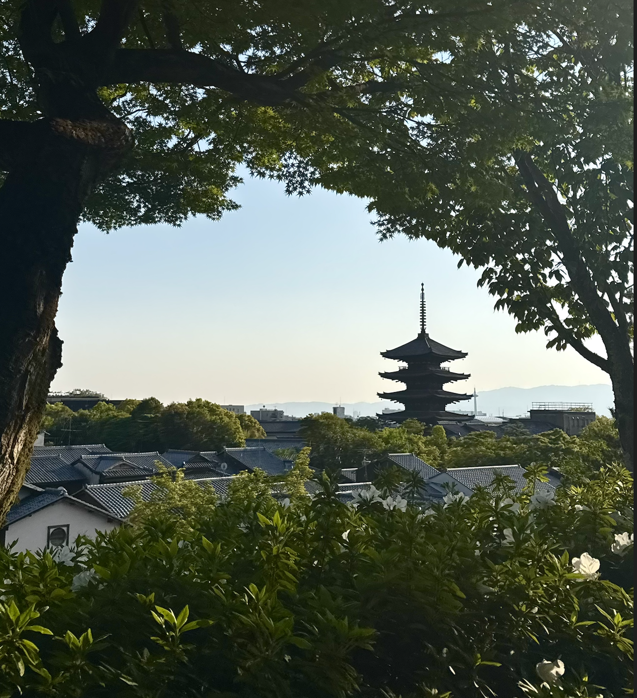 Japan: A Photographer's Paradise of Beauty and Serenity - Travel photography